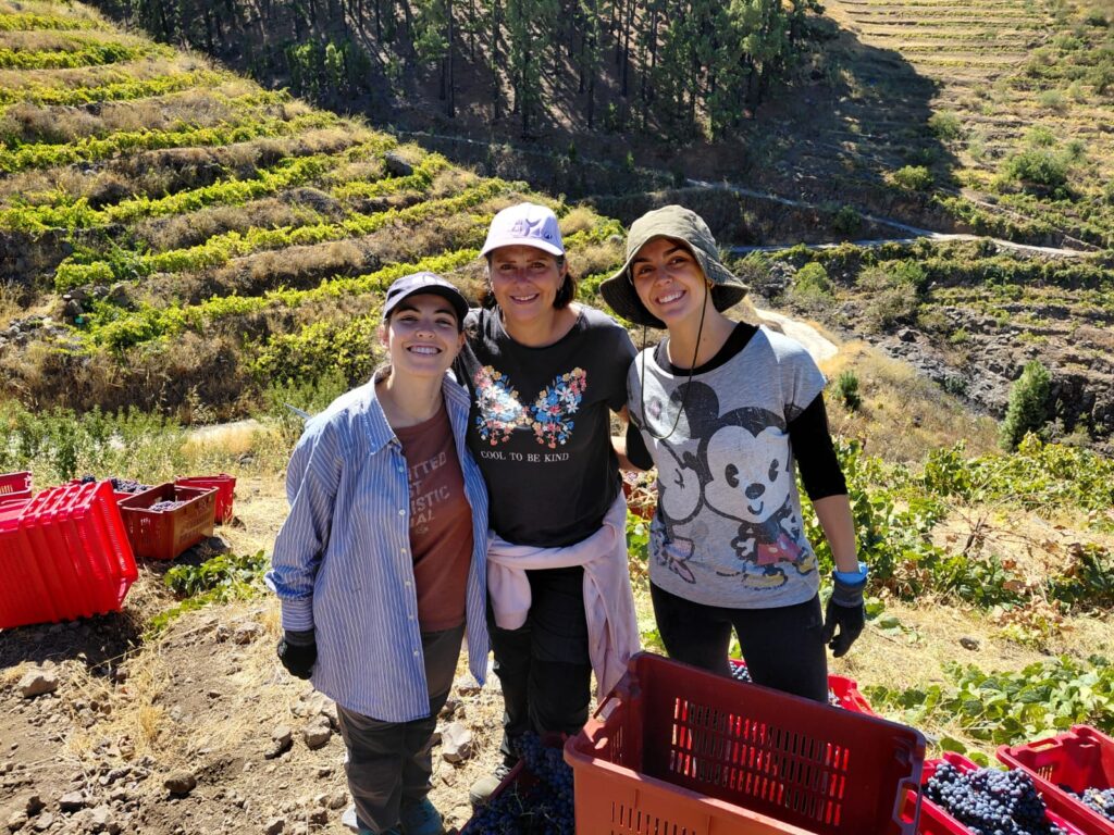 Finaliza la vendimia 2026 en Bodegas Carlos Fernández – Viña Etna