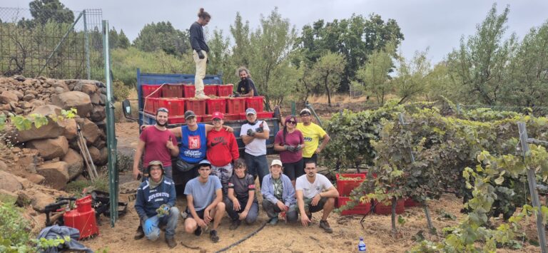 Finaliza la vendimia 2026 en Bodegas Carlos Fernández – Viña Etna