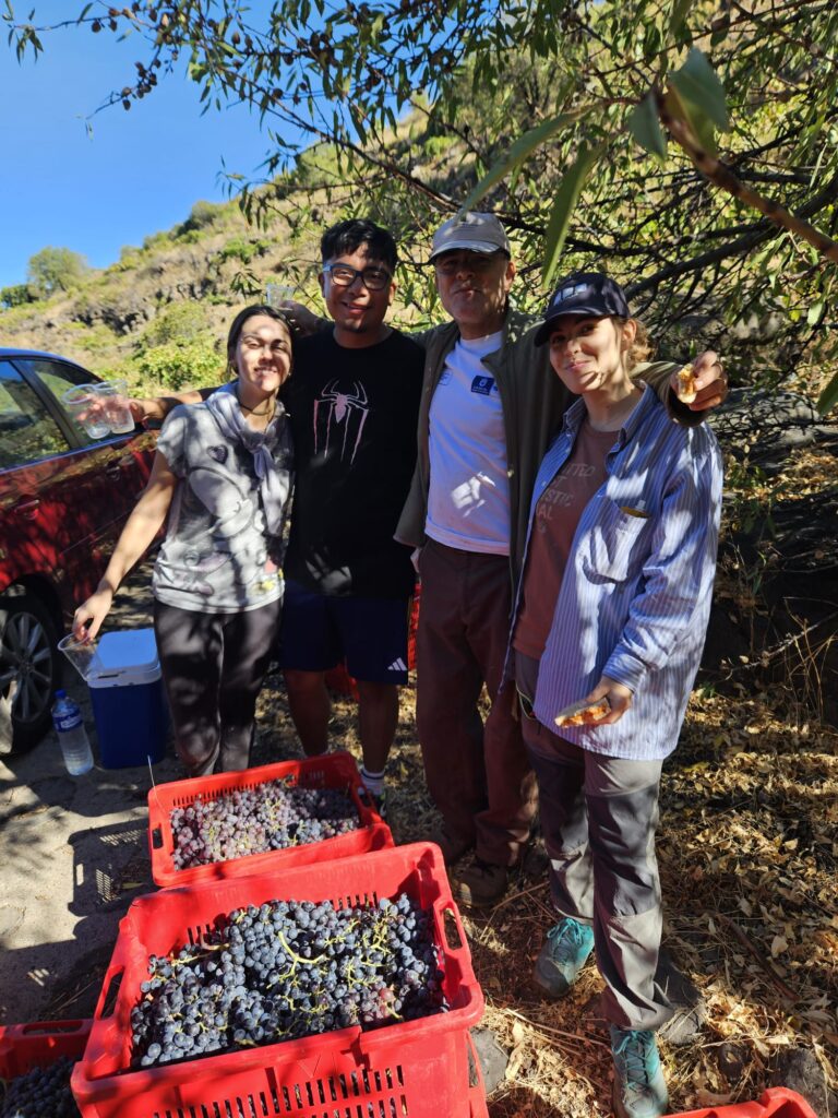 Finaliza la vendimia 2026 en Bodegas Carlos Fernández – Viña Etna