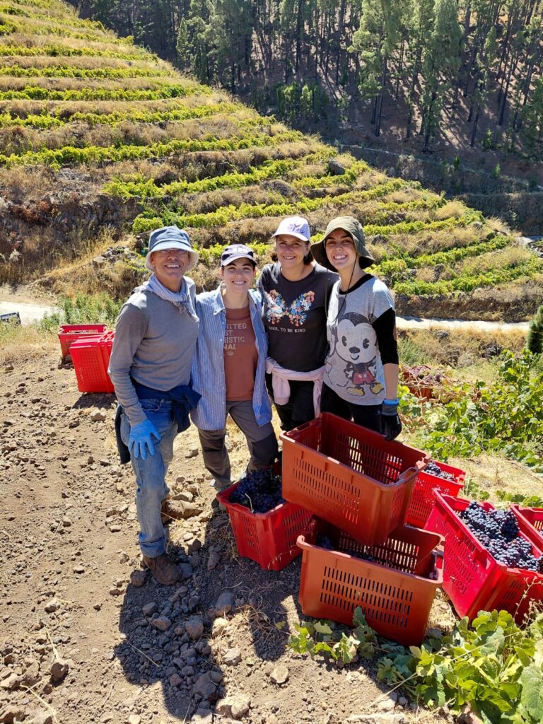 Finaliza la vendimia 2026 en Bodegas Carlos Fernández – Viña Etna